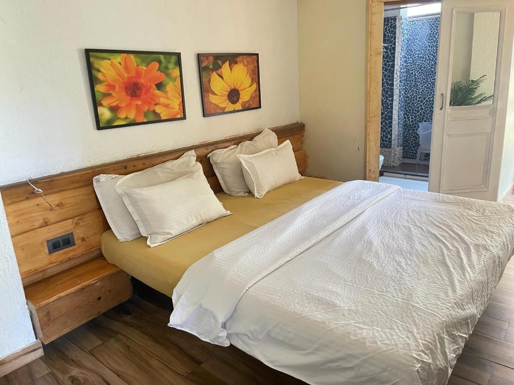 Sunrise Cottage Dagshai Bagian luar foto